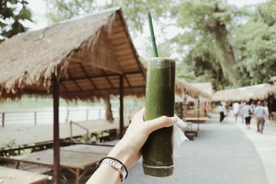 Cropped hand holding bamboo