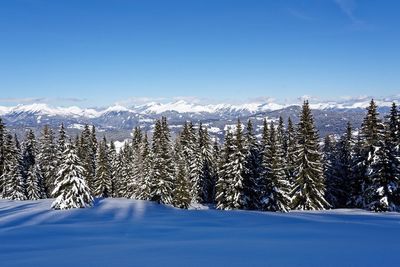 Scenic view of snowcapped mountains against blue sky