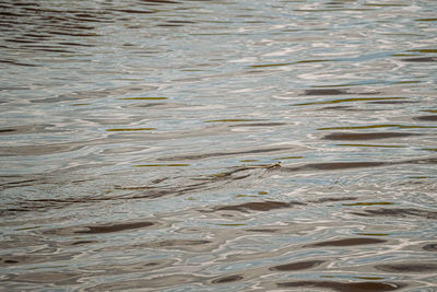 Full frame shot of rippled water