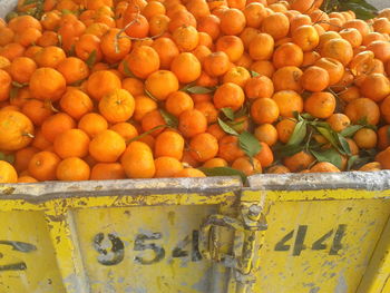 High angle view of fresh organic oranges in yellow trailer