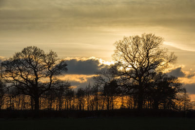 Silhouette bare trees on field against sky at sunset