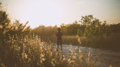 Rear view of boy standing on land against sky during sunset