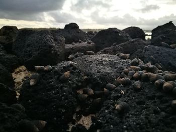 Close-up of pebbles on beach against sky