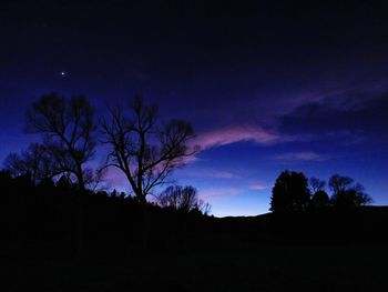 Silhouette trees against sky at night