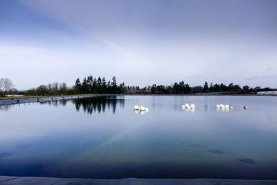 Reflection of trees in water against sky