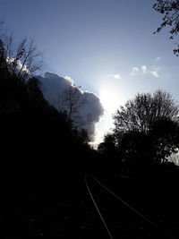 Silhouette trees by railroad tracks against sky