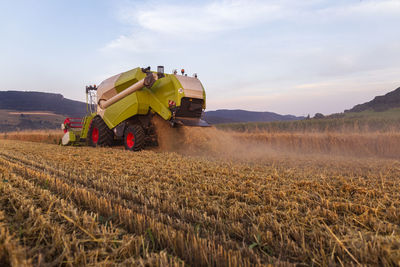 Organic farming, wheat field, harvest, combine harvester in the evening