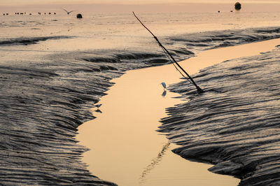 Fishing rod on beach against sky during sunset