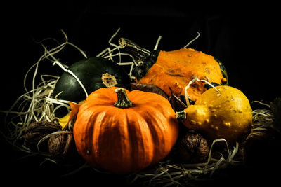 Close-up of pumpkin hanging on wood against black background