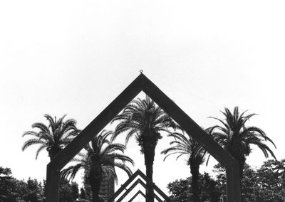 Low angle view of palm trees against clear sky