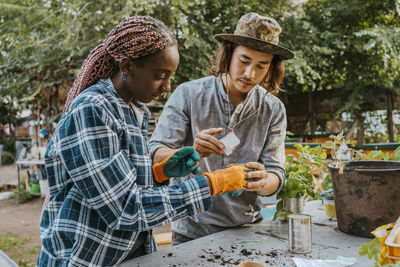 Male and female environmentalists seedling plant at table in community garden