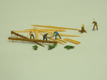 Close-up of small birds over white background