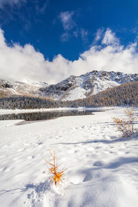 Scenic view of snowcapped mountains against sky