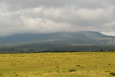 Mount longonot seen from nairobi - nakuru highway, naivasha, rift valley, kenya