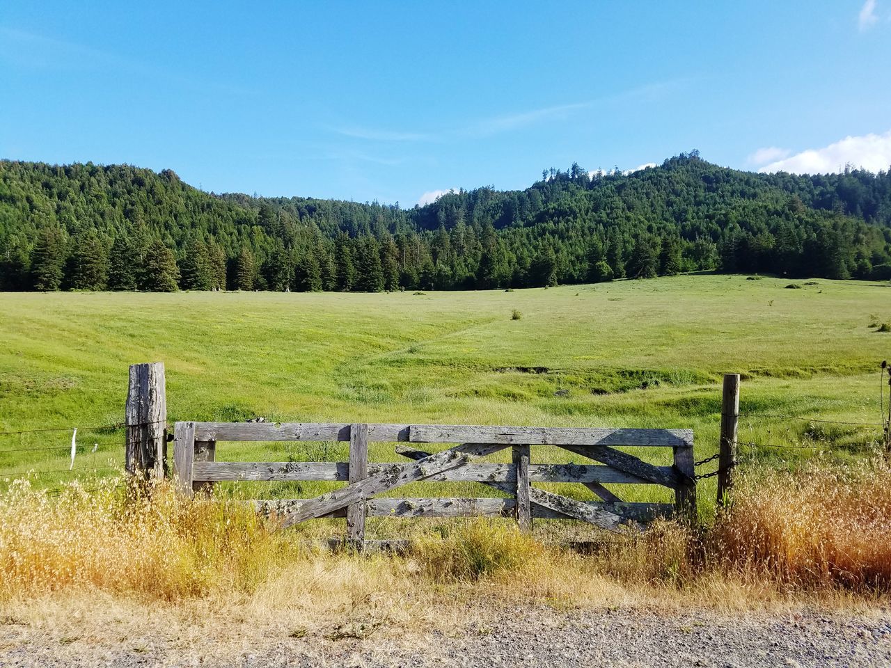 Mountain field