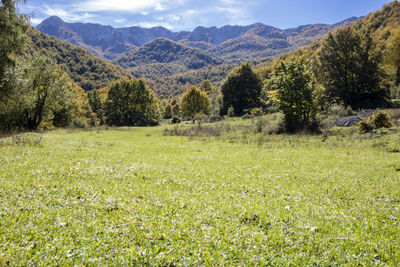 Scenic view of field against mountains