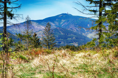 Scenic view of field and mountains against sky