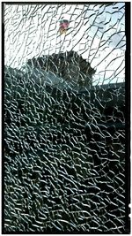 Full frame shot of tiled floor