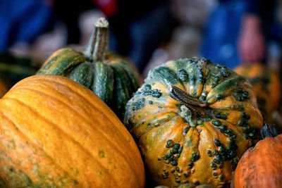 Close-up of pumpkins