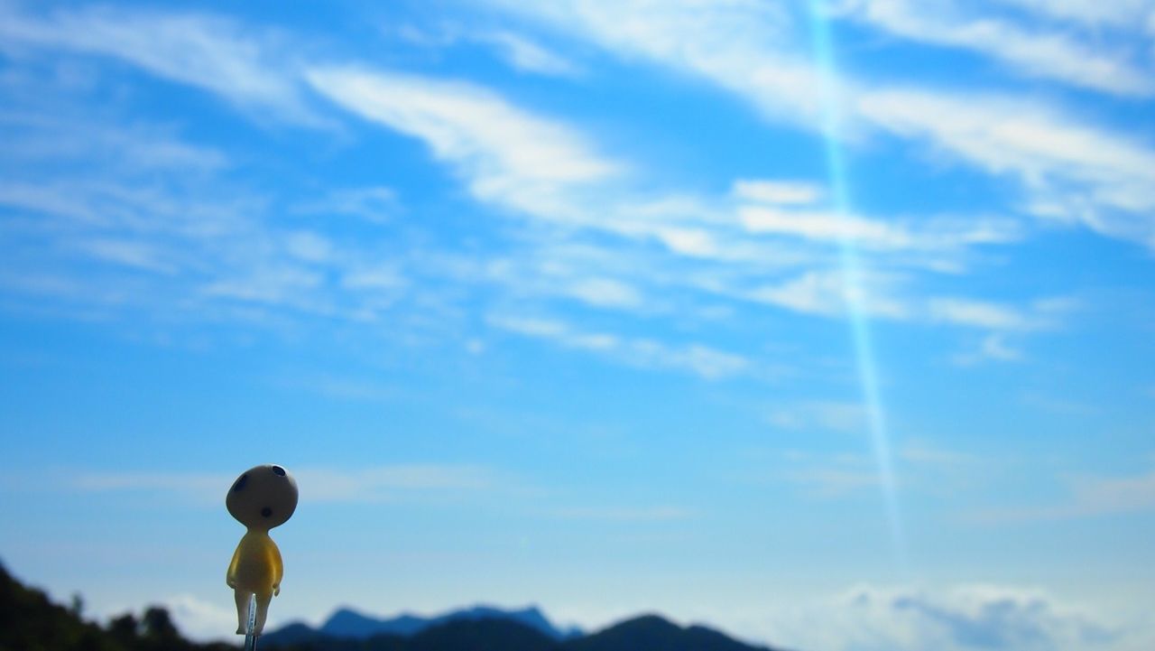 sky, blue, low angle view, cloud - sky, beauty in nature, nature, tranquility, cloud, scenics, tranquil scene, cloudy, growth, outdoors, no people, idyllic, day, flower, sunlight, cloudscape, silhouette