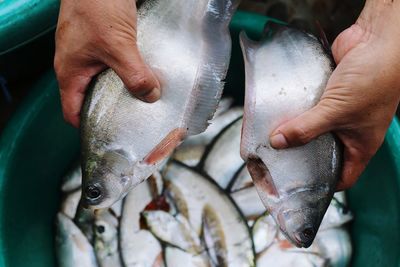 Cropped hands holding of fishes 