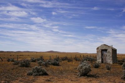 Sheep on field against sky