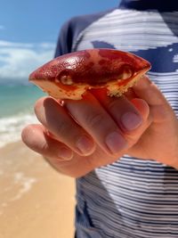 Midsection of person holding dead crab at beach