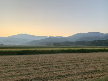 Scenic view of field against clear sky during sunset