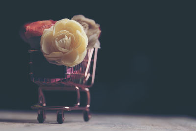 Close-up of rose on table