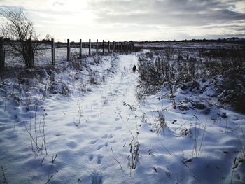 Scenic view of snow covered field against sky