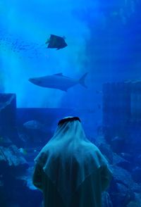 Rear view of silhouette fish swimming in aquarium