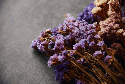 High angle view of purple flowering plant on table