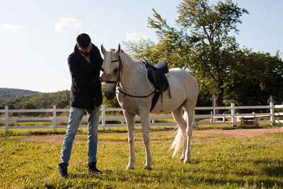 Full length of a horse on field