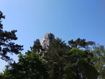 Low angle view of trees against clear blue sky