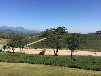 Scenic view of agricultural field against clear blue sky