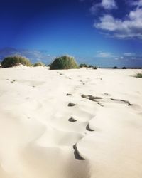 Scenic view of beach against blue sky