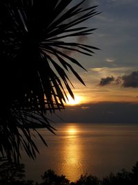 Silhouette palm tree by sea against sky during sunset