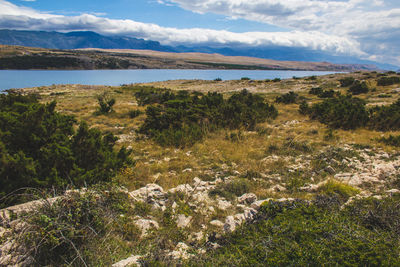 Scenic view of landscape against sky