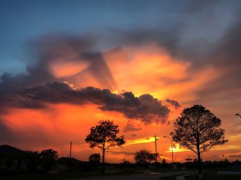 Low angle view of silhouette trees against dramatic sky