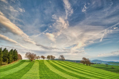 Gras with lines and wide angle sky with clouds