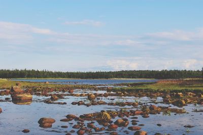 Scenic view of lake against sky