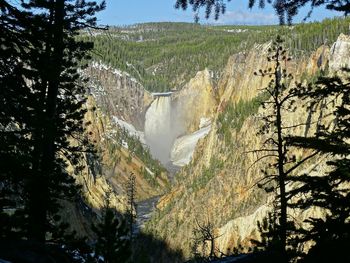 Scenic view of waterfall in forest
