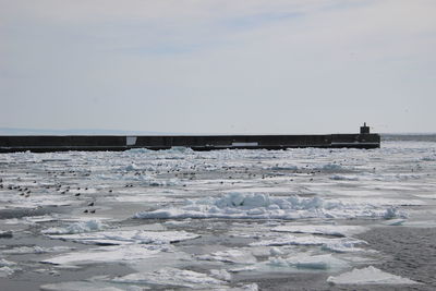 Scenic view of frozen sea against sky