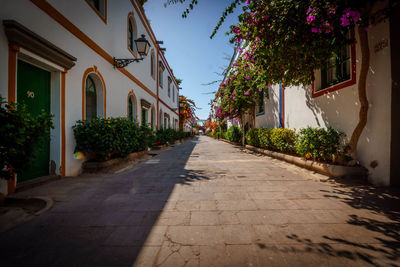 Empty alley amidst buildings in city