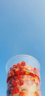 Close-up of red berries on glass against blue background