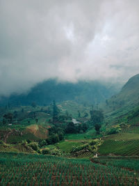 Scenic view of landscape against sky