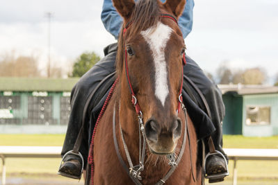 Close-up of a person riding a horse