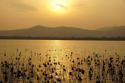 Scenic view of lake against sky during sunset