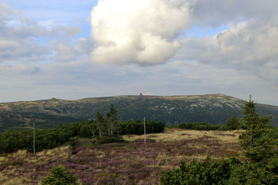 Scenic view of landscape against sky