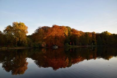 Reflection of trees in lake against clear sky